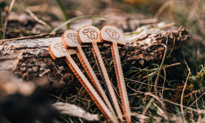 Ein kleiner Schritt mit großem Impact!