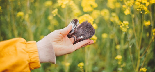 Welcher Handschutz passt am besten zu mir?