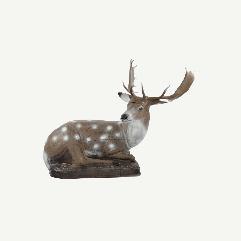 3D Tier Franzbogen Damhirsch, liegend