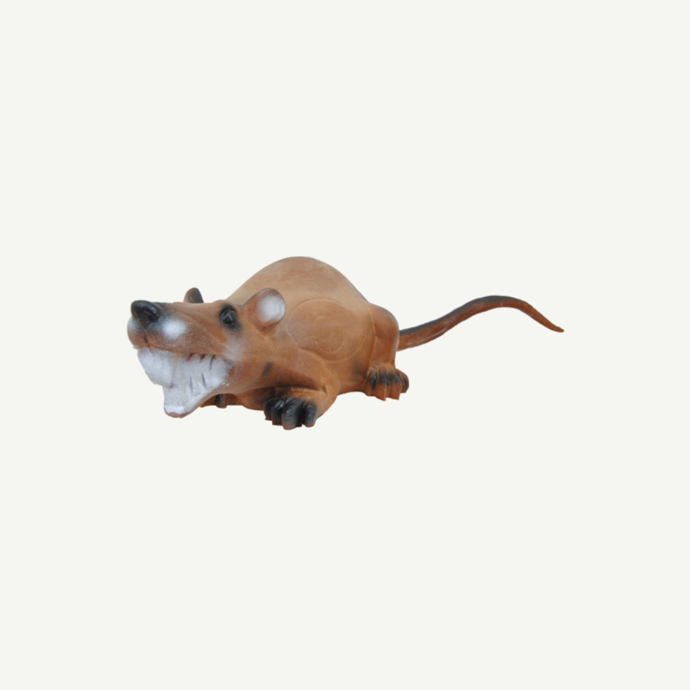 Longlife liegende Ratte
