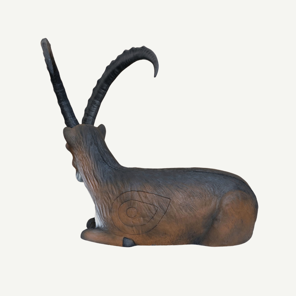 Leitold Steinbock liegend