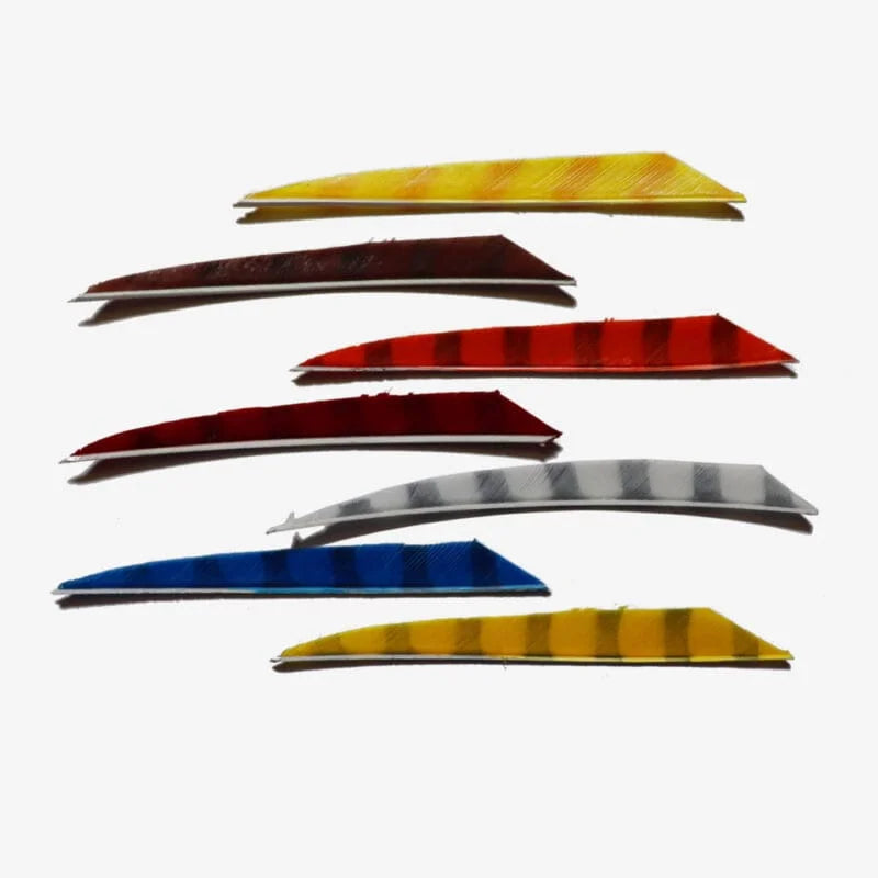 NIJORA Snake 4.0 barred Federn