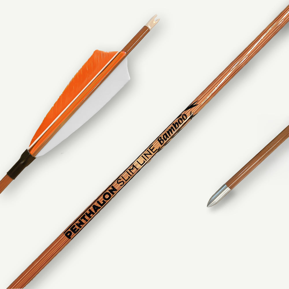 Penthalon Carbonpfeile 40818 Slim Line Bamboo Naturfedern 800