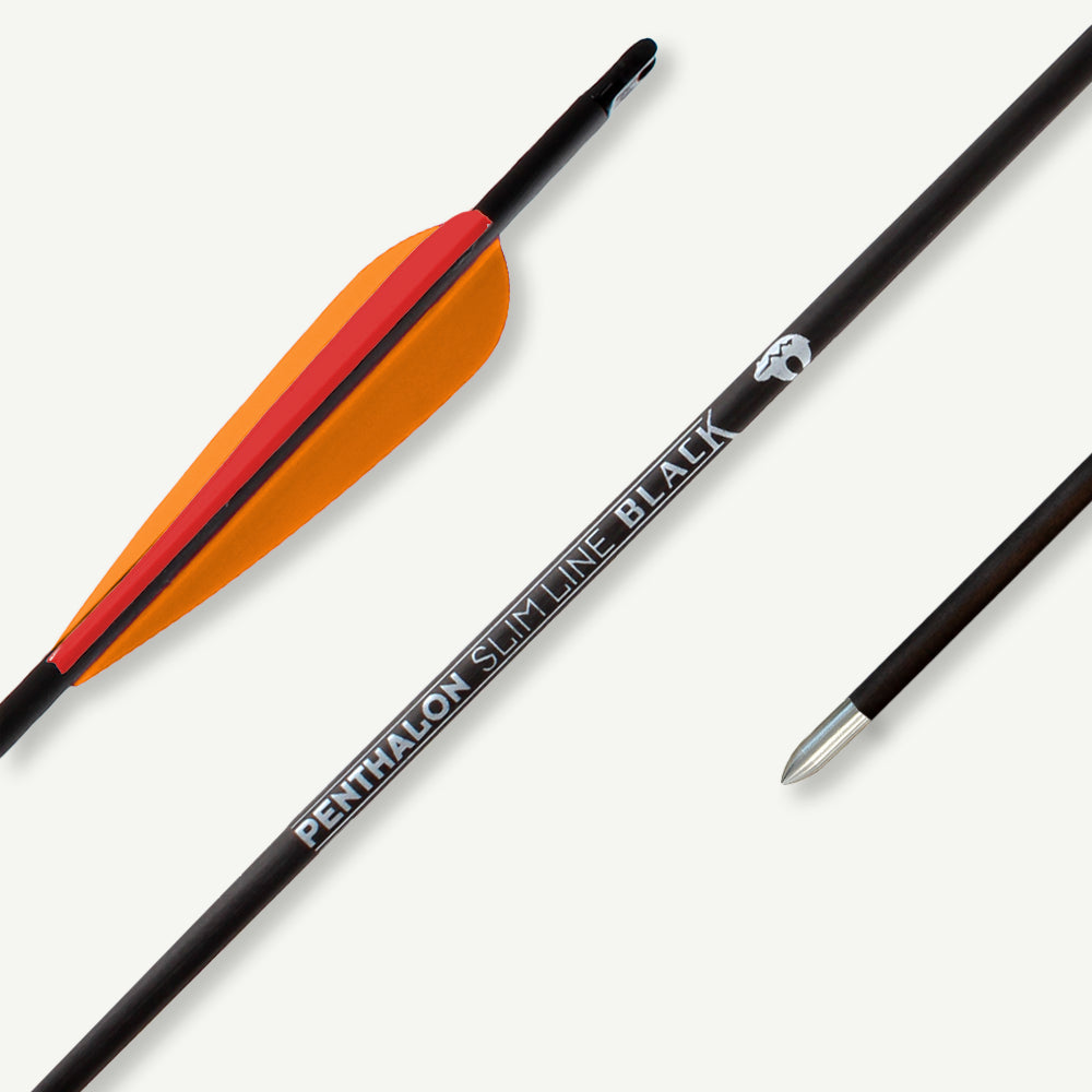 Penthalon Carbonpfeile 40821 Slim Line Black Fletches 1300