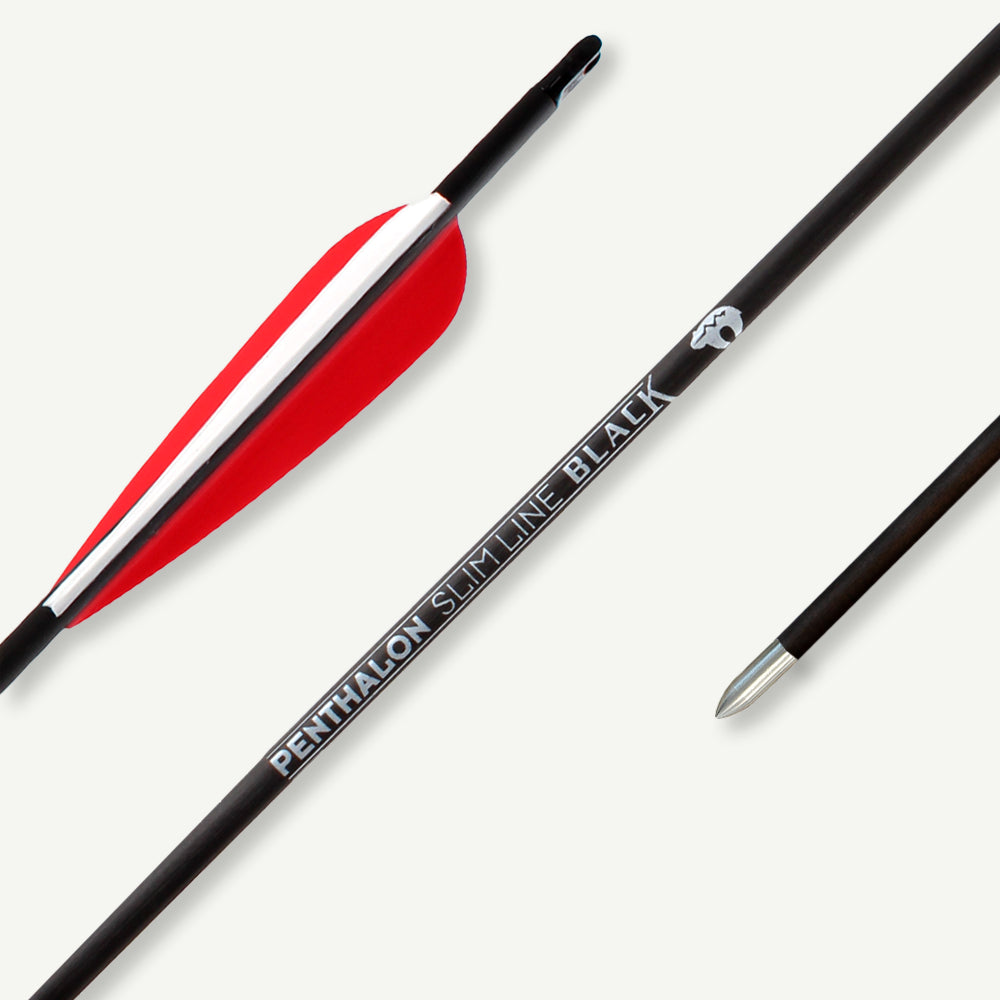 Penthalon Carbonpfeile 40821 Slim Line Black Fletches 600