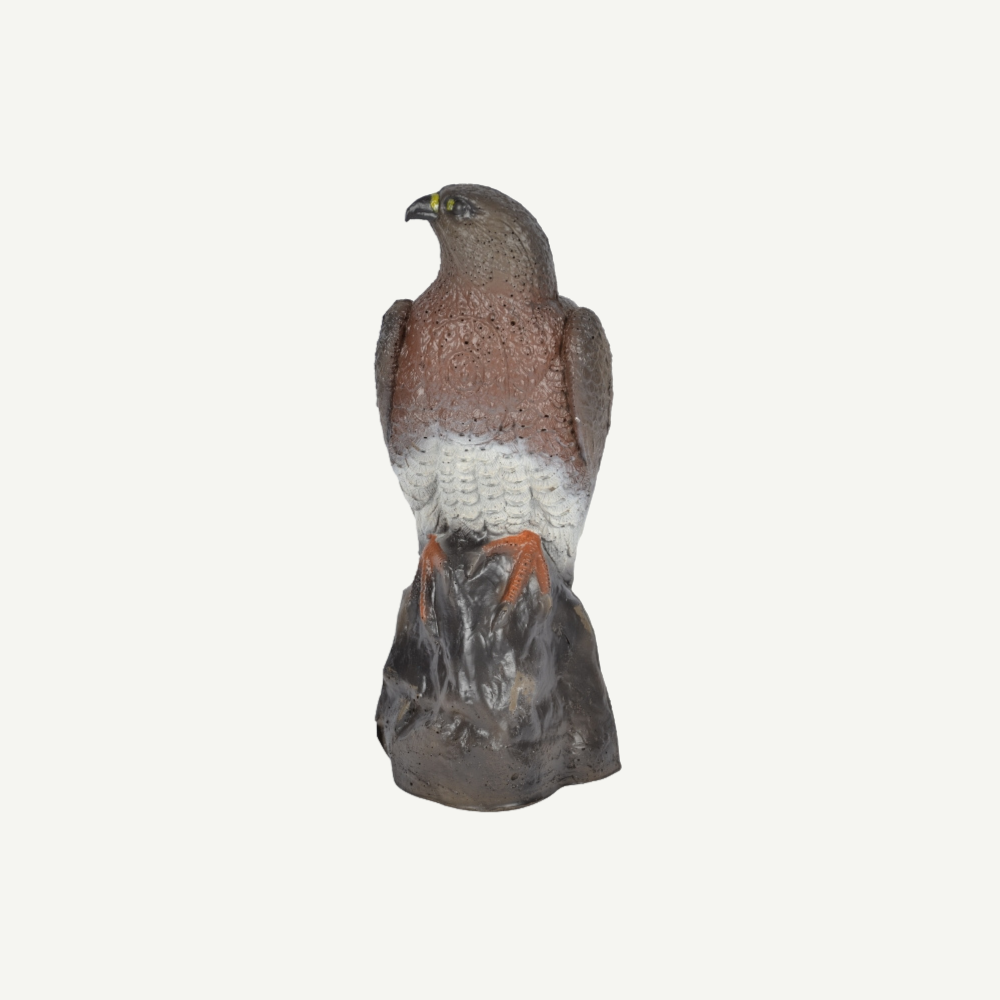 60175 3D Tier Franzbogen Falke