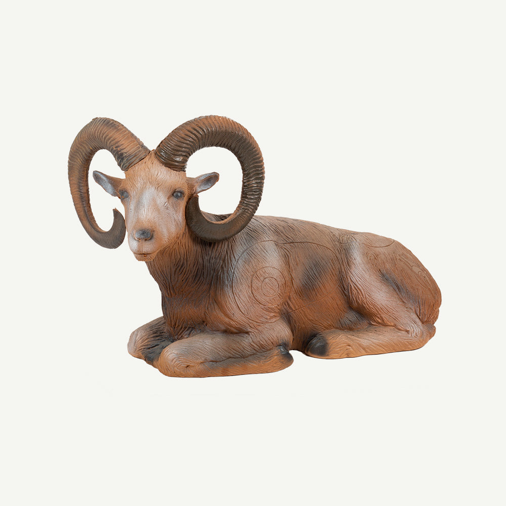 100108 Longlife Mufflon liegend