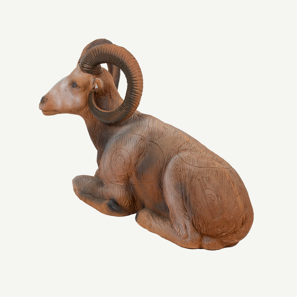 100108 Longlife Mufflon liegend