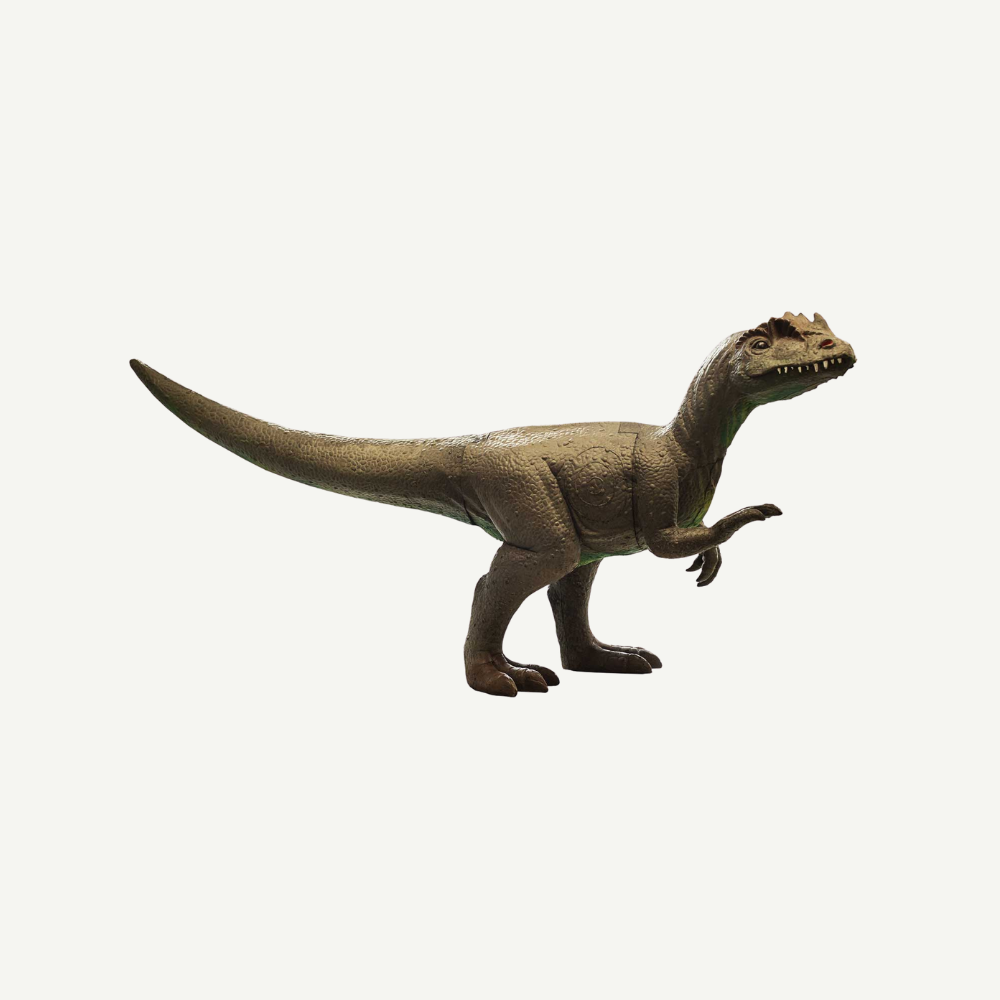 100482 IBB 3D Tier Raptor Dark Raptor