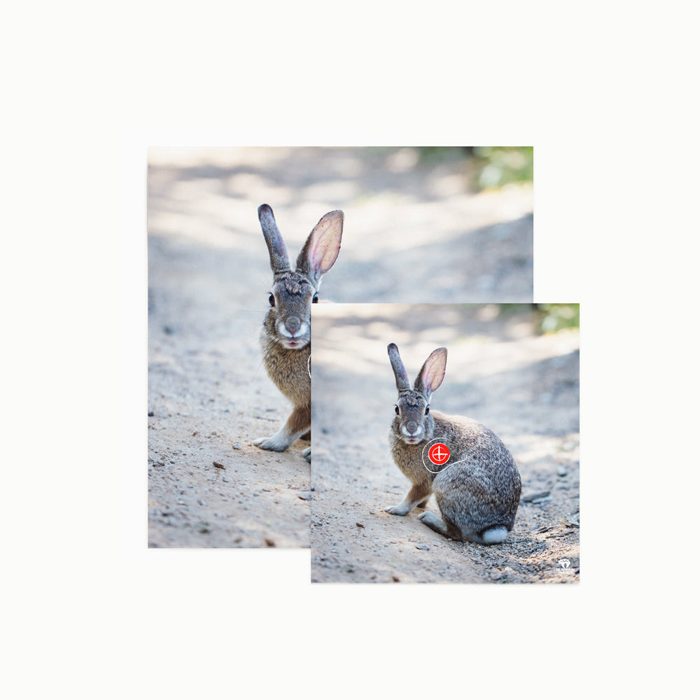 Tierbild Zielscheibenauflage