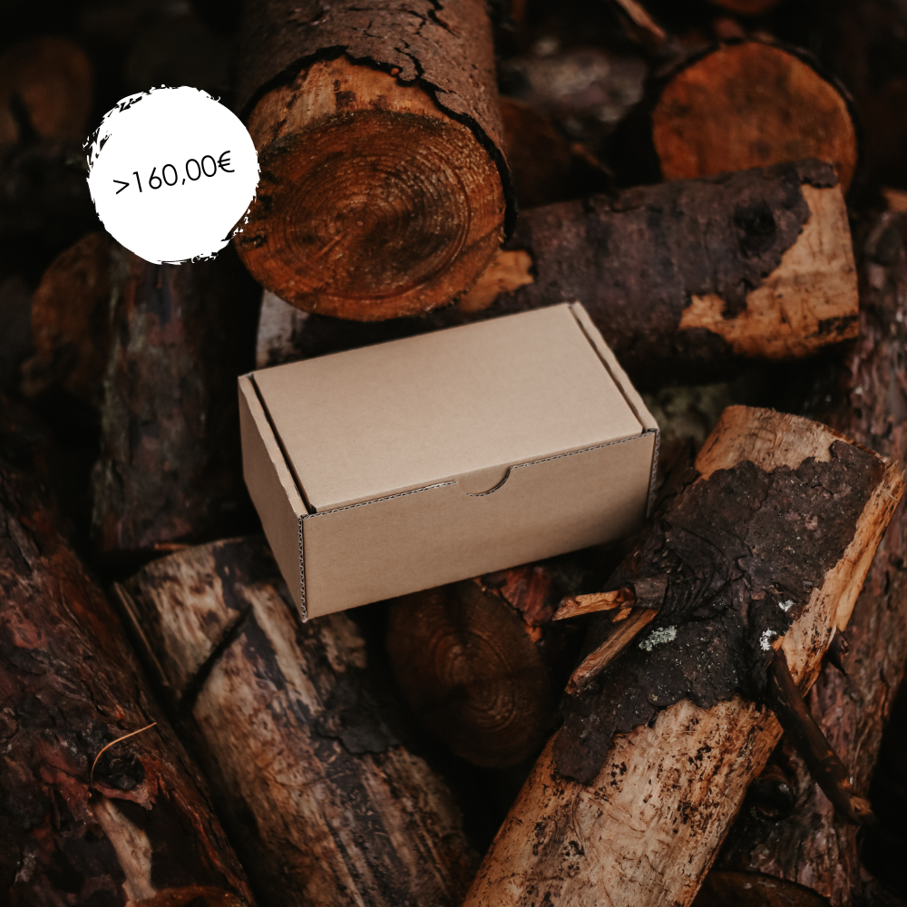 Überraschungsbox Kids