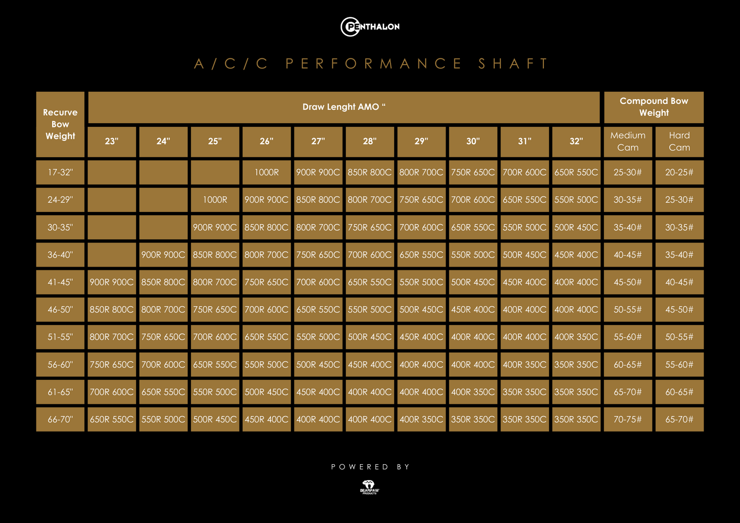 Penthalon Performance A/C/C Aluminium-Carbon Schaft (12 St.)