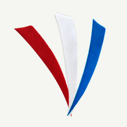 Länder | Federn Set Niederlande