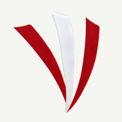 Länder | Federn Set Dänemark