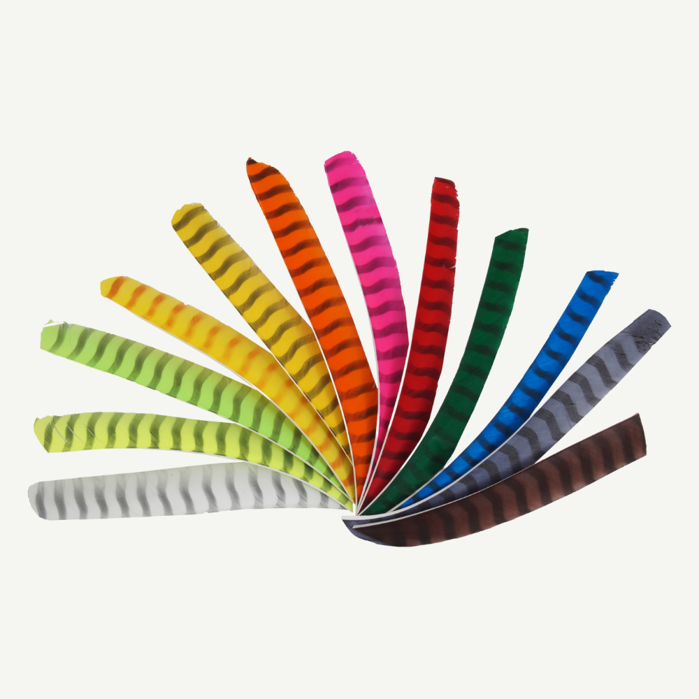 Feder RW Volle Länge barred