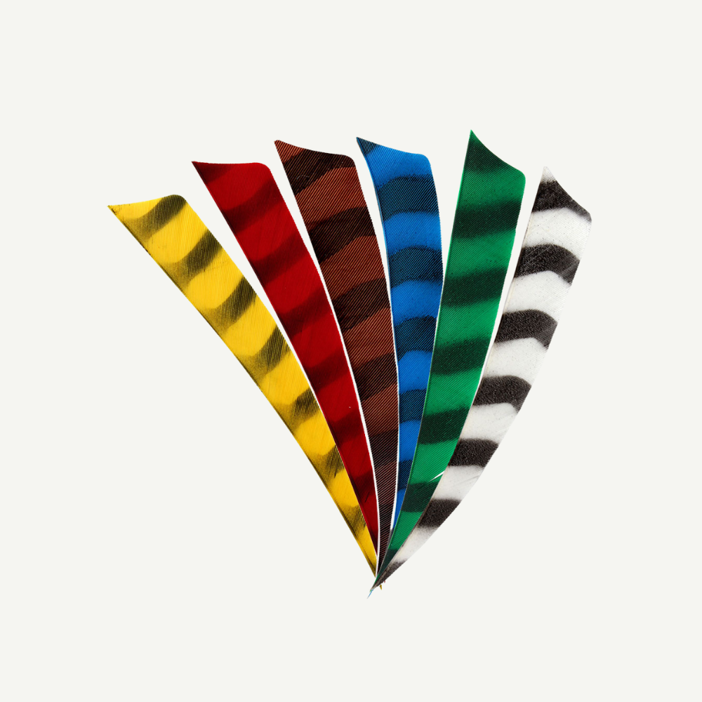 Feder RW Shield 5 Zoll barred