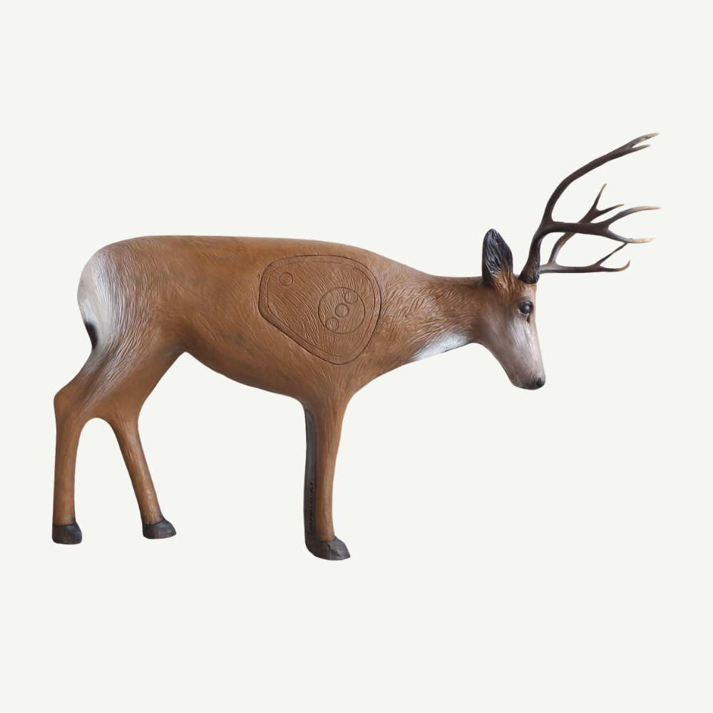 Leitold Junger Hirsch kämpfend Universal Insert