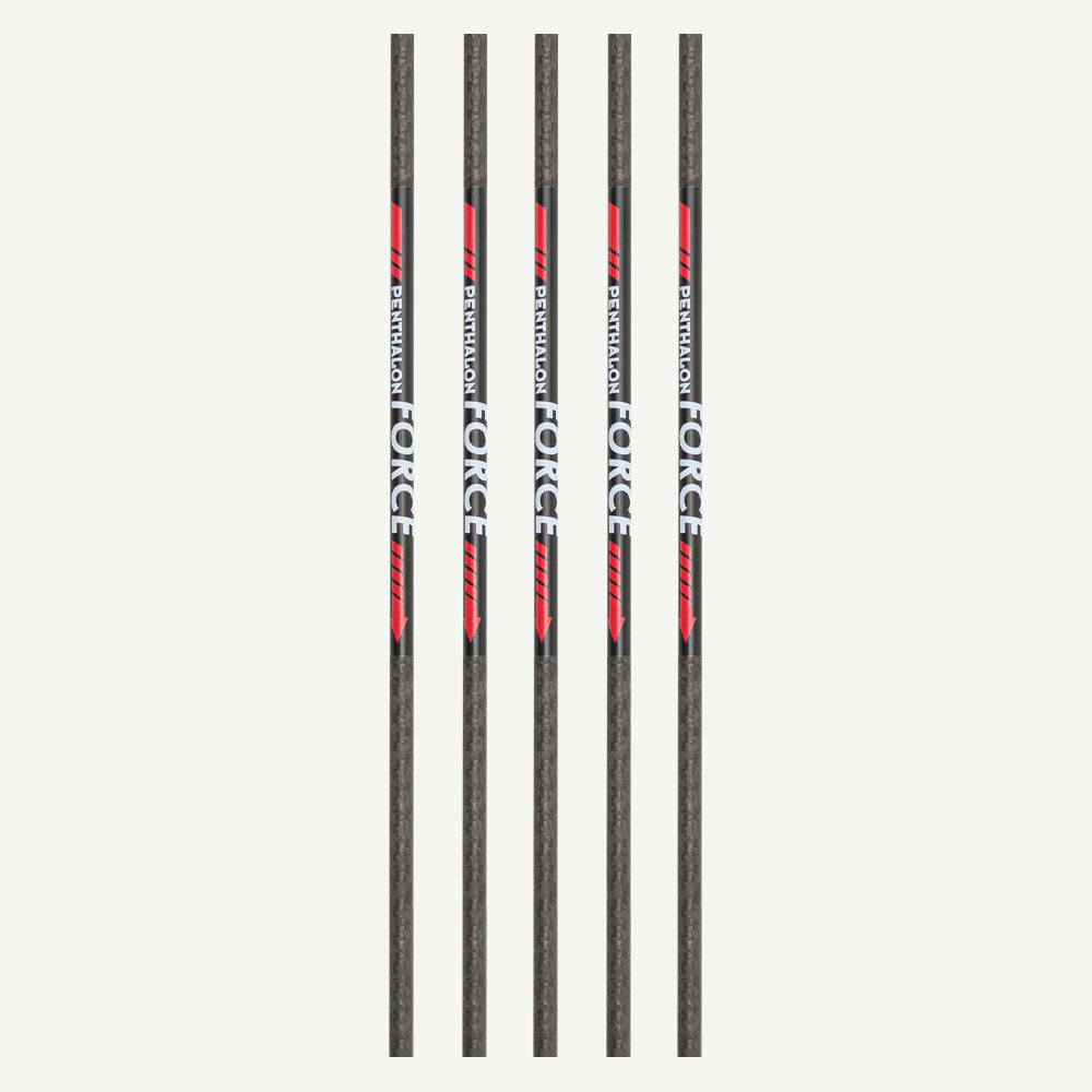 Penthalon Carbonschäfte Force 800