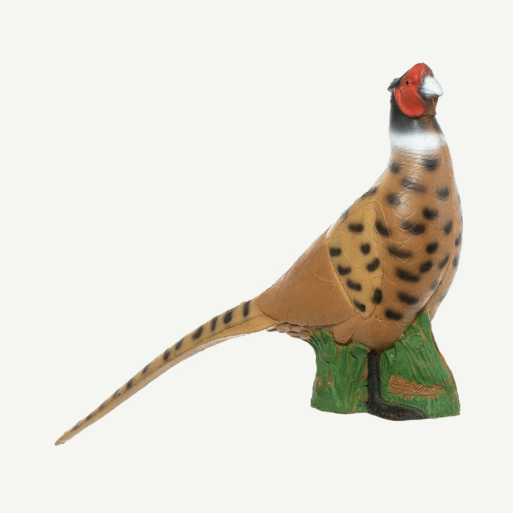 IBB 3D Tier Fasan Edelfasan