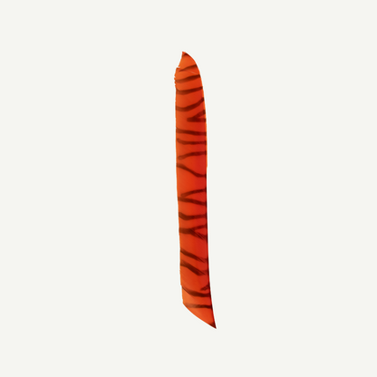 18202 Feder RW Volle Länge zebra orange schwarz