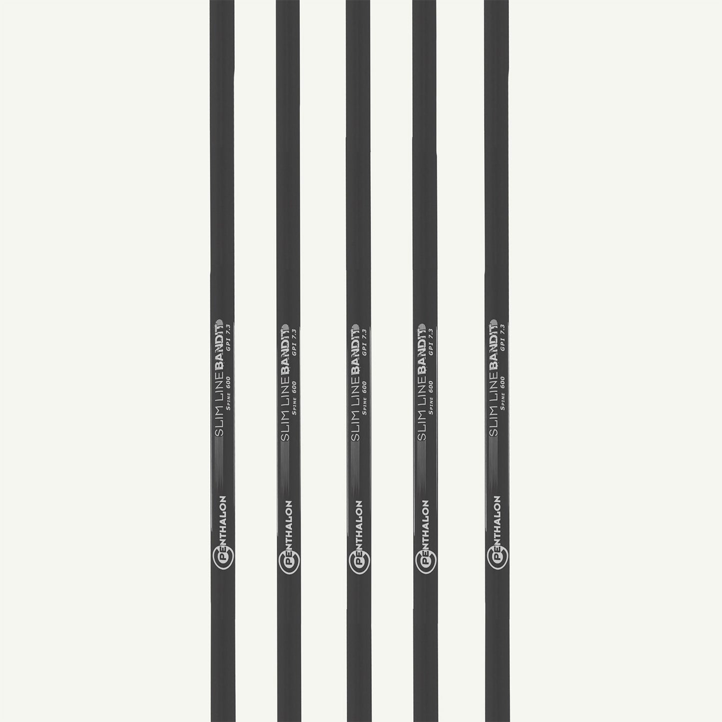 Penthalon Carbonschäfte Bandit Slim Line