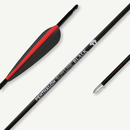 Penthalon Carbonpfeile 40821-D Slim Line Black Fletches 1600