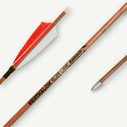 Penthalon Carbonpfeile Slim Line Bamboo Naturfedern 600