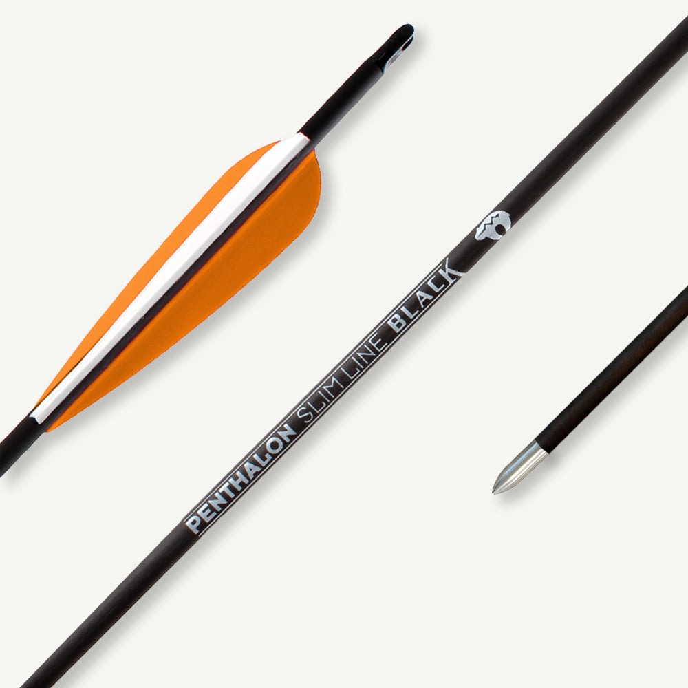 Penthalon Carbonpfeile 40821 Slim Line Black Fletches 800
