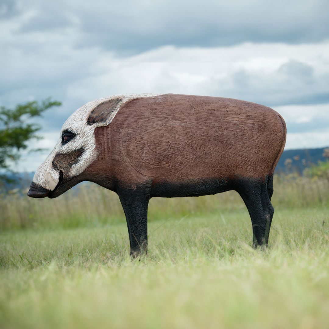 100978 Wildcrete 3D Target - Buschschwein