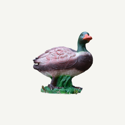 100424 IBB 3D Tier Erpel