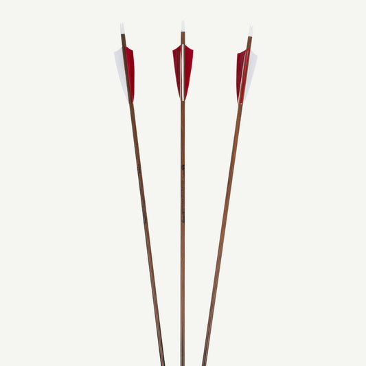 Penthalon Carbonpfeile 40814 Heavy Hunter Naturfedern