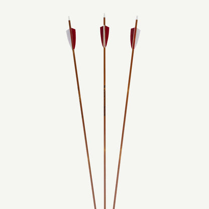 Penthalon Carbonpfeile 40818 Slim Line Bamboo Naturfedern