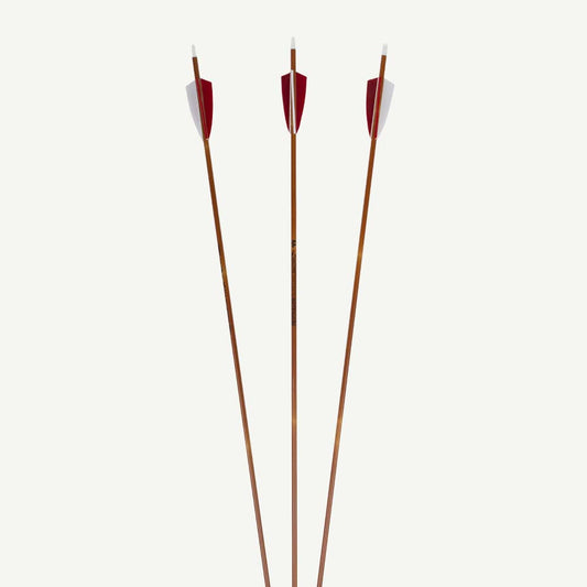 Penthalon Carbonpfeile 40818 Slim Line Bamboo Naturfedern