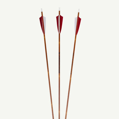 Penthalon Carbonpfeile 40817 Traditional Bamboo Naturfedern