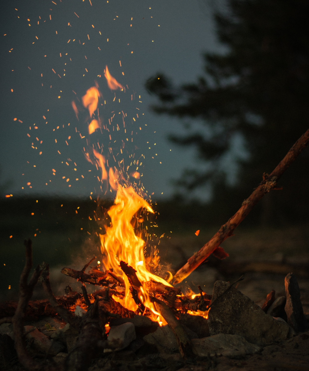Lagerfeuer Bild im dunklen Wald