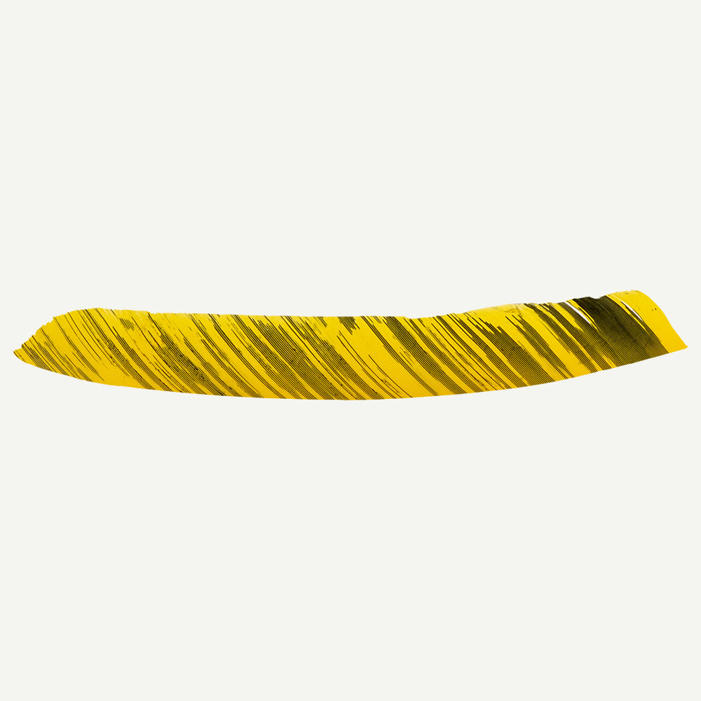 101177 Feder RW Volle Länge camo gelb schwarz