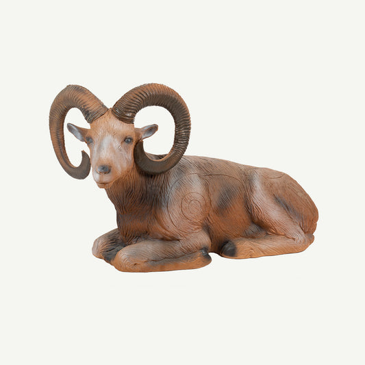 100108 Longlife Mufflon liegend